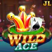 Wild Ace - LDPlayer APK